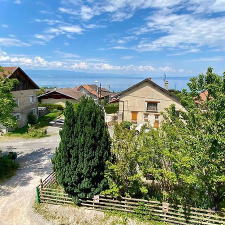 Maison Familiale Vue Lac Avec Jardin - A 10Mn Du Lac Et Stations De Ski Apartment Publier Luaran gambar